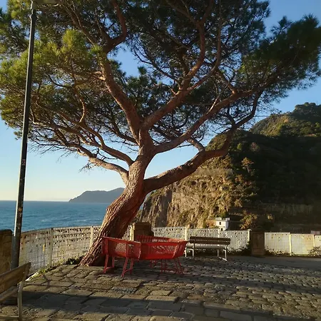 The Way Of - La Via Dell'amore